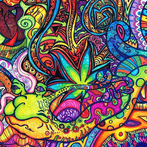 Meet your Posher, Armando